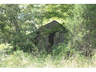 Property photo 11 - LAND AUCTION - 261+/- ACRES IN BRECKINRIDGE COUNTY